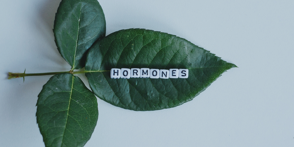 cink i hormoni